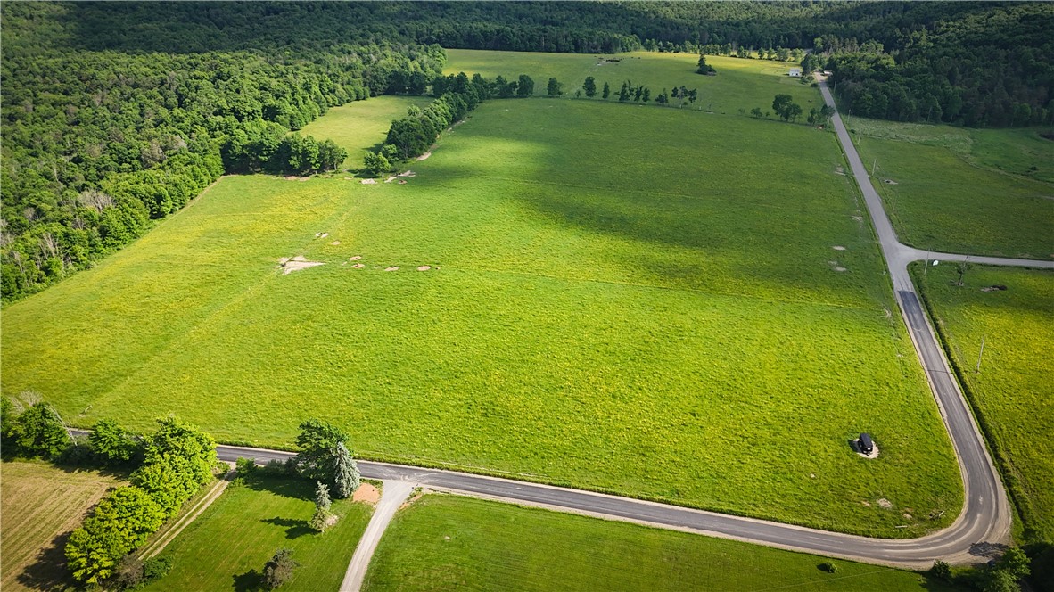 4 Putt Hill Road Chemung, NY 14825 - Photo 3 of 34 Gallery Image 3