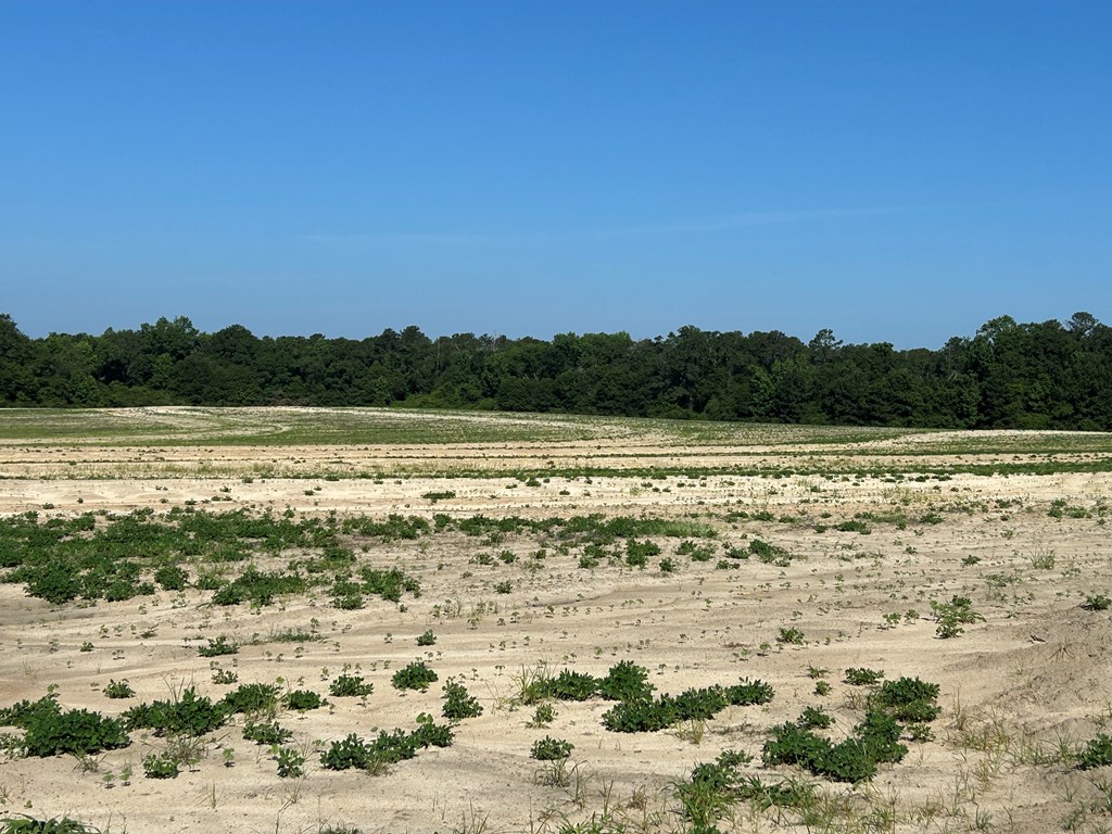 40.522-ac Cecil Varnum Road Dothan, AL 36301 - Photo 22 of 38