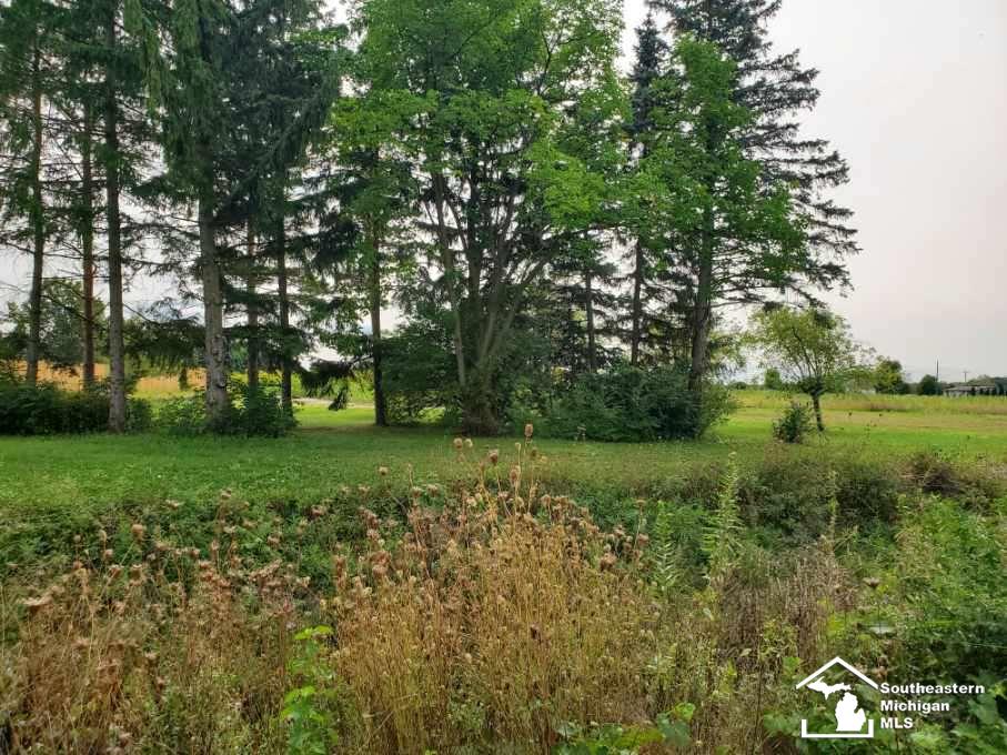 0 Blazer Road Maybee, MI 48159 - Photo 4 of 29