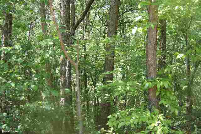 Lot 23 Sequoya Way Seneca, SC 29672 - Photo 2 of 3 Gallery Image 2