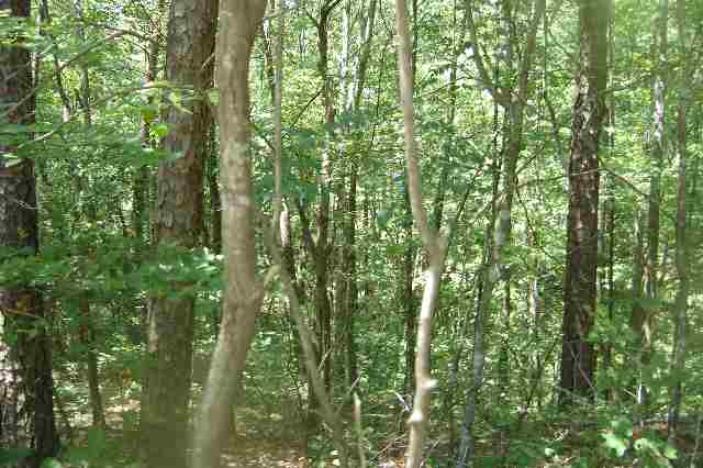 Lot 23 Sequoya Way Seneca, SC 29672 - Photo 3 of 3 Gallery Image 3