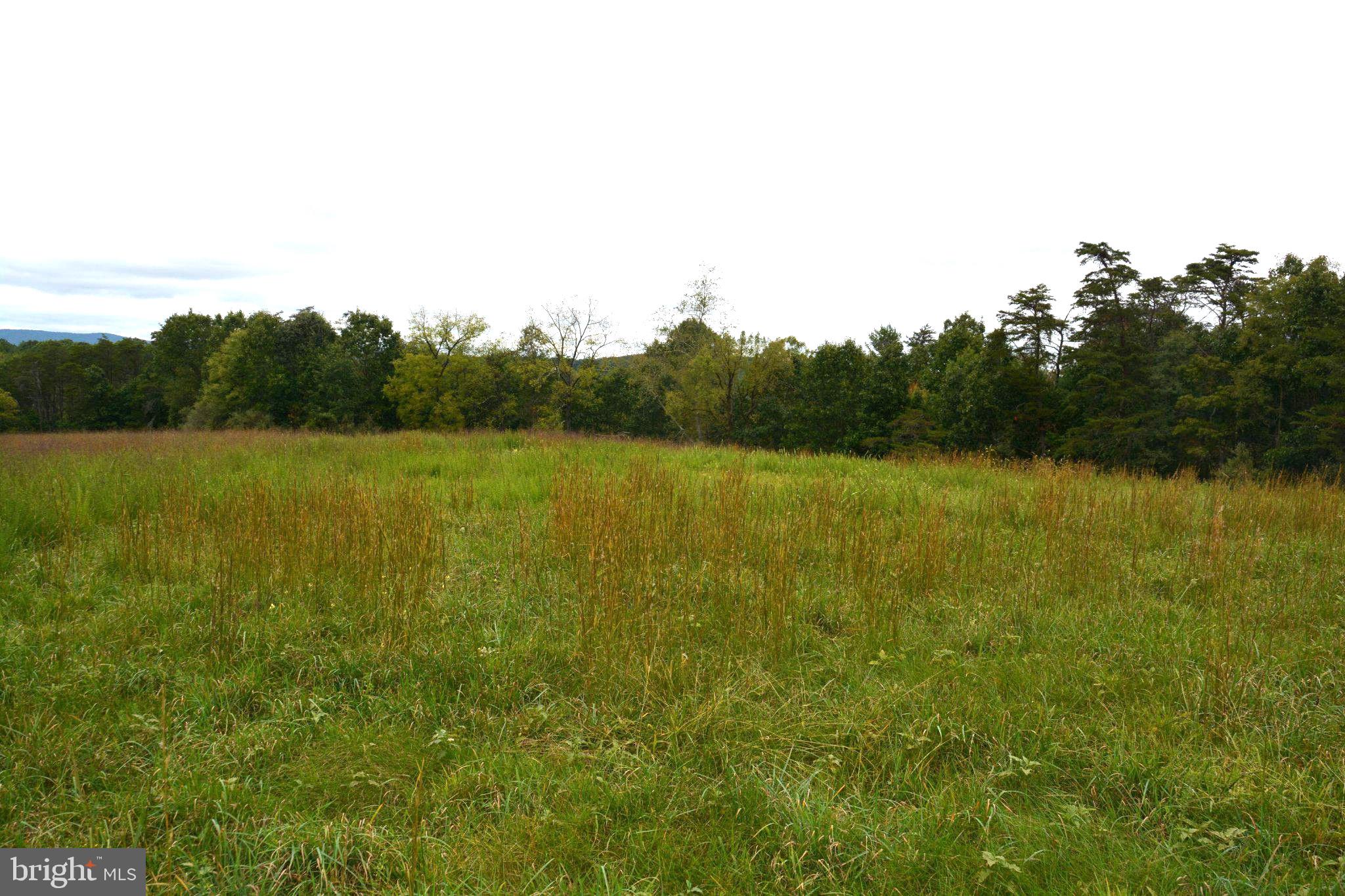 3016 Siler Road Winchester, VA 22603 - Photo 81 of 83 Rear field (most of the land is wooded)