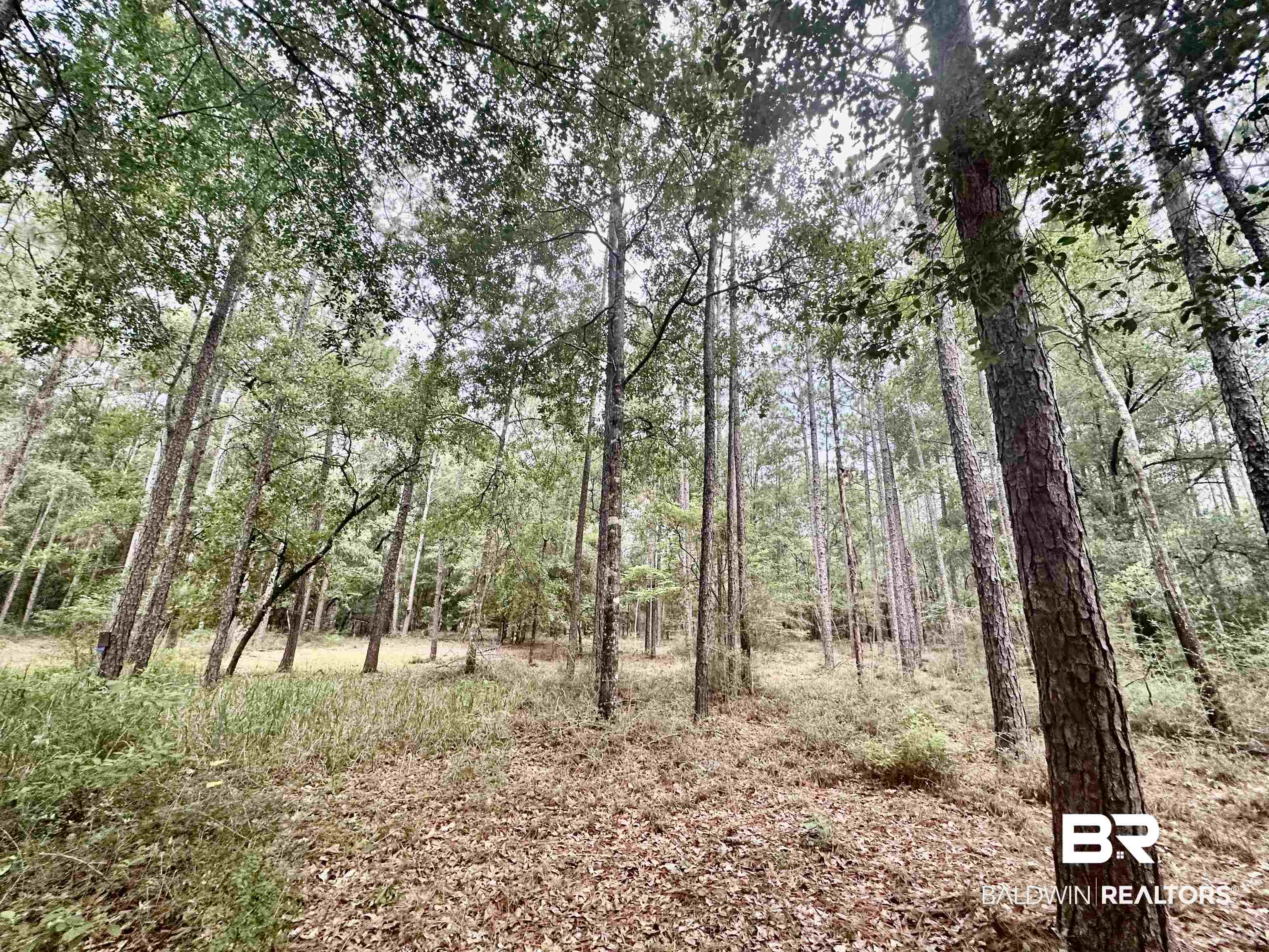32349 Sibley Creek Road Daphne, AL 36527 - Photo 17 of 22