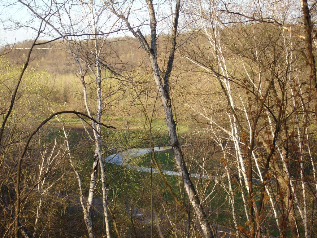 Xxx County Rd O Hager City, WI 54014 - Photo 1 of 1 Gallery Image 1