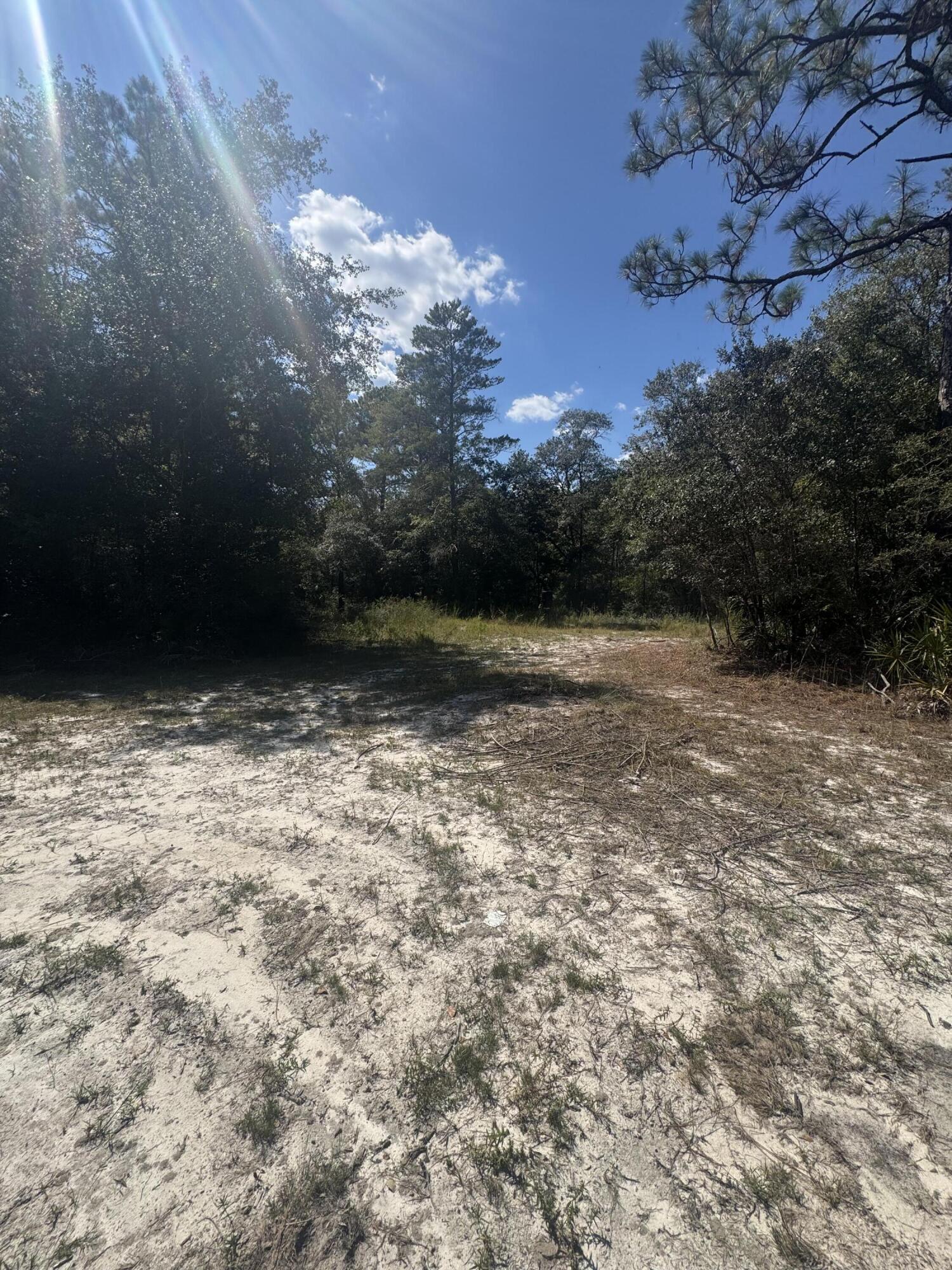 X Eagles Way DeFuniak Springs, FL 32433 - Photo 11 of 24 a view of empty room with green space
