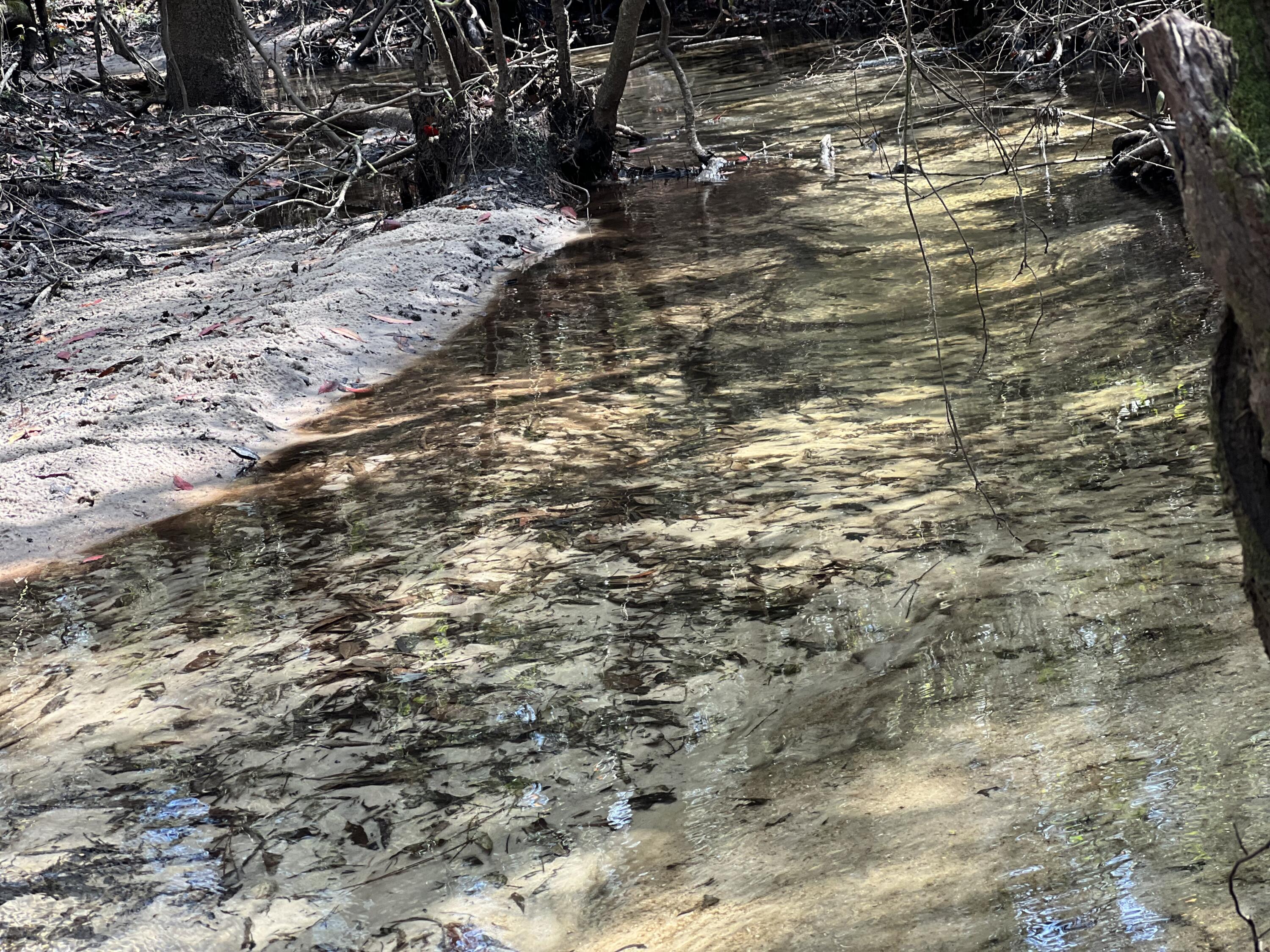 X Eagles Way DeFuniak Springs, FL 32433 - Photo 13 of 24 a view of water with a yard