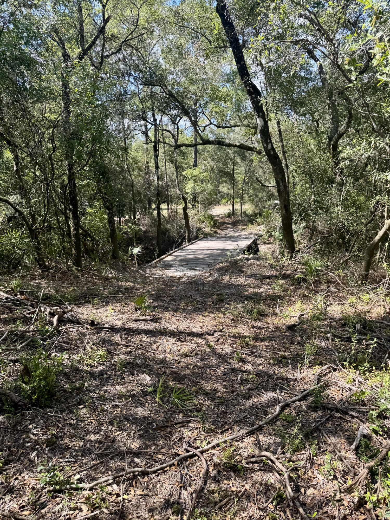 X Eagles Way DeFuniak Springs, FL 32433 - Photo 18 of 24 a backyard of a house with lots of green space