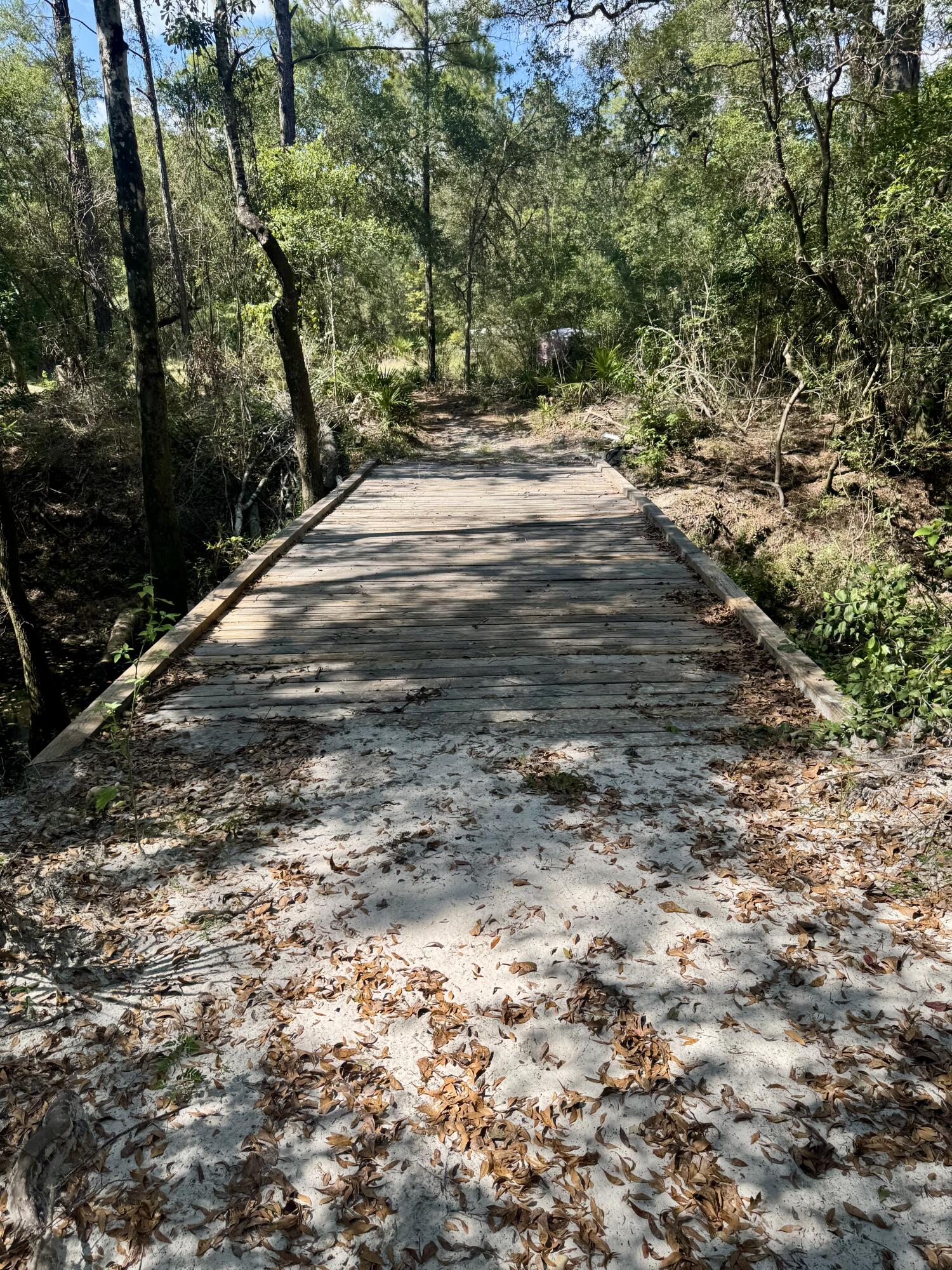 X Eagles Way DeFuniak Springs, FL 32433 - Photo 19 of 24 a view of dirt yard with a large tree
