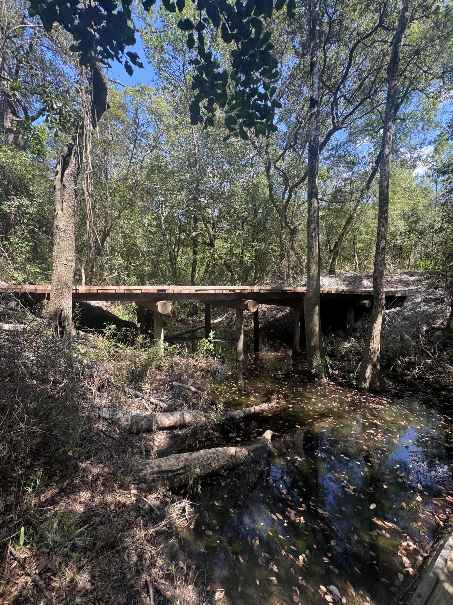X Eagles Way DeFuniak Springs, FL 32433 - Photo 20 of 24 a view of a backyard