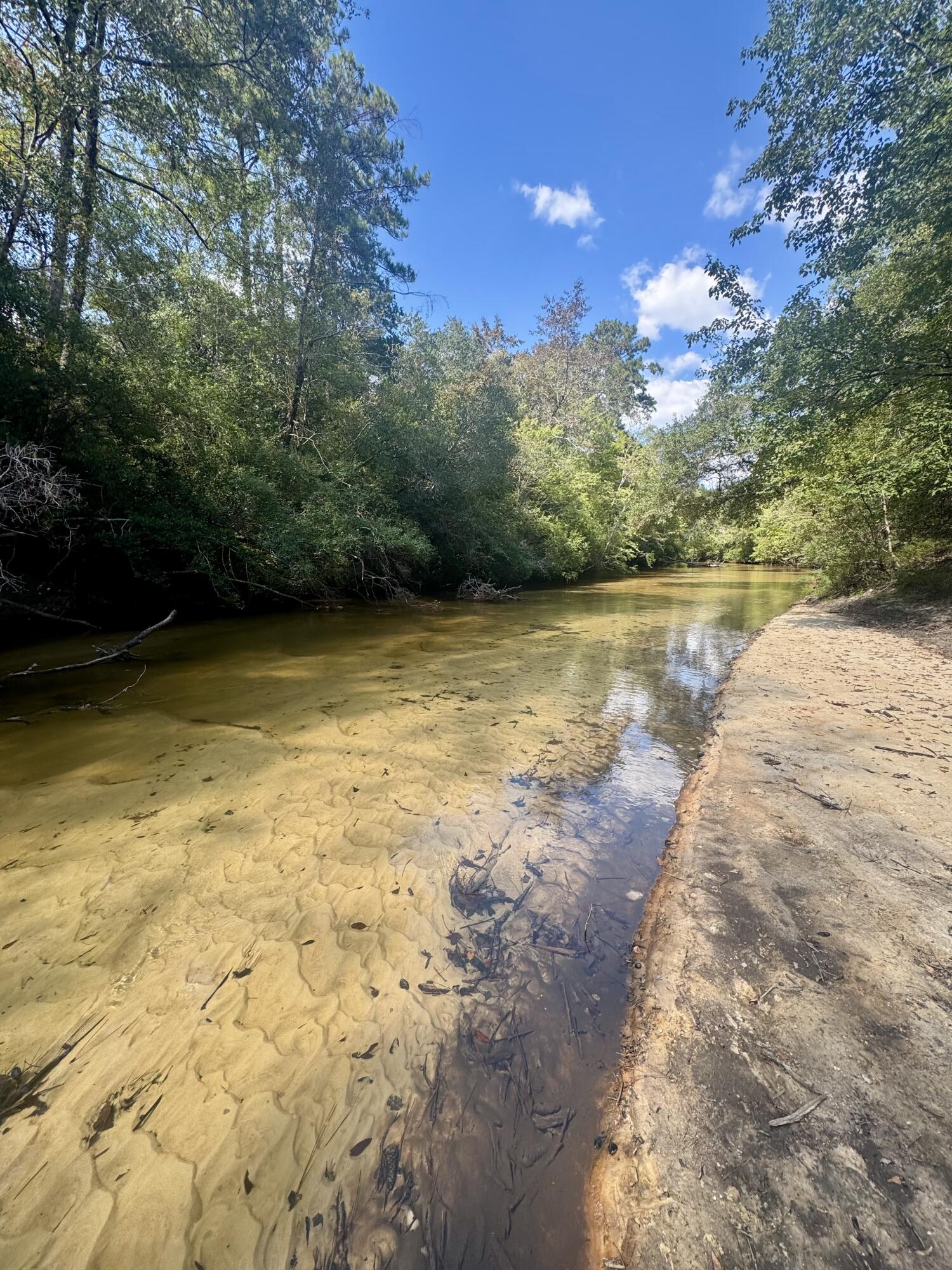 X Eagles Way DeFuniak Springs, FL 32433 - Photo 6 of 24 a view of a lake view