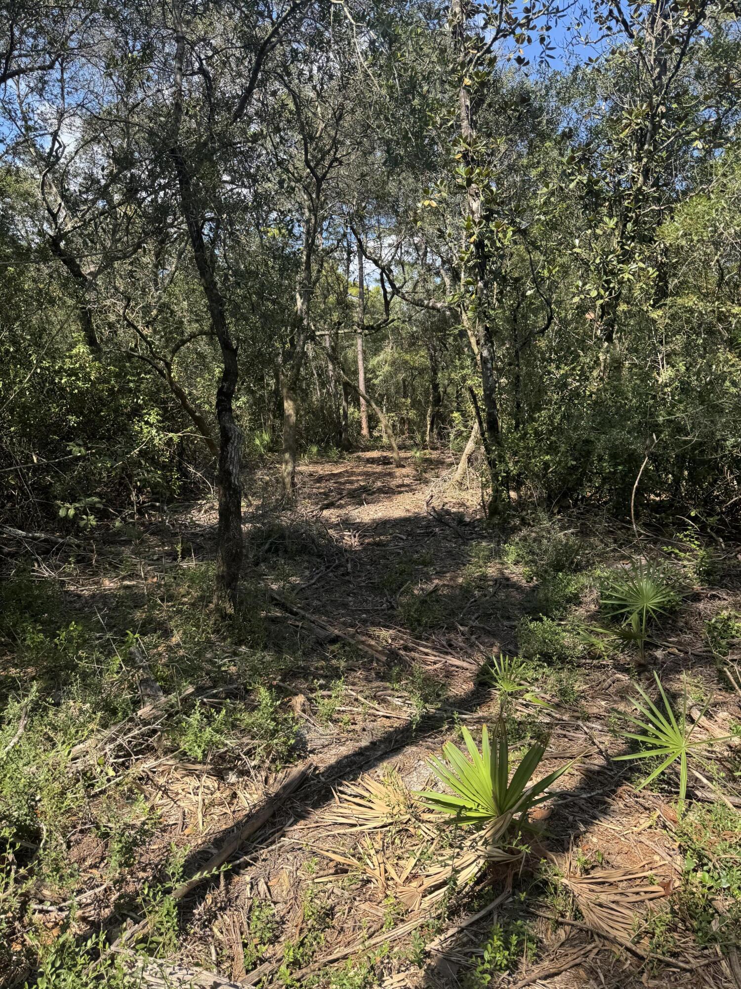 X Eagles Way DeFuniak Springs, FL 32433 - Photo 7 of 24 a view of a yard with plants and trees