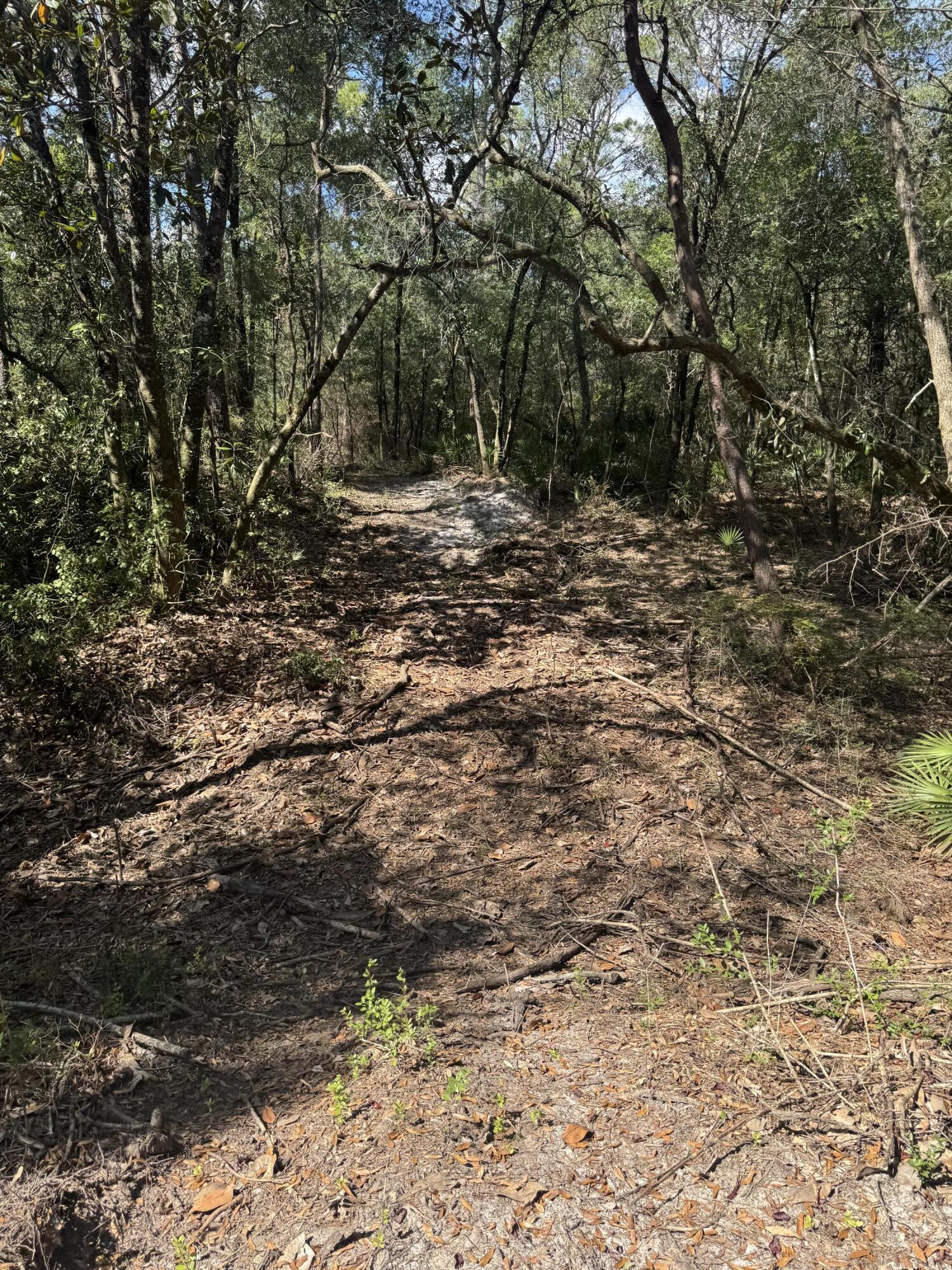 X Eagles Way DeFuniak Springs, FL 32433 - Photo 8 of 24 a view of a yard with a tree