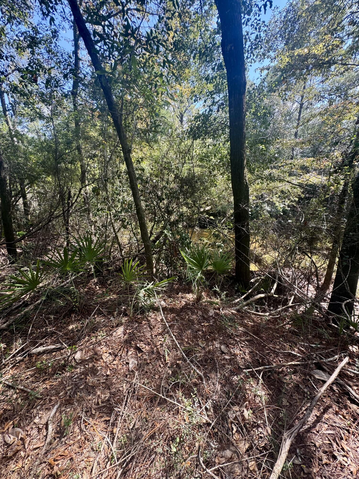 X Eagles Way DeFuniak Springs, FL 32433 - Photo 9 of 24 a view of a forest