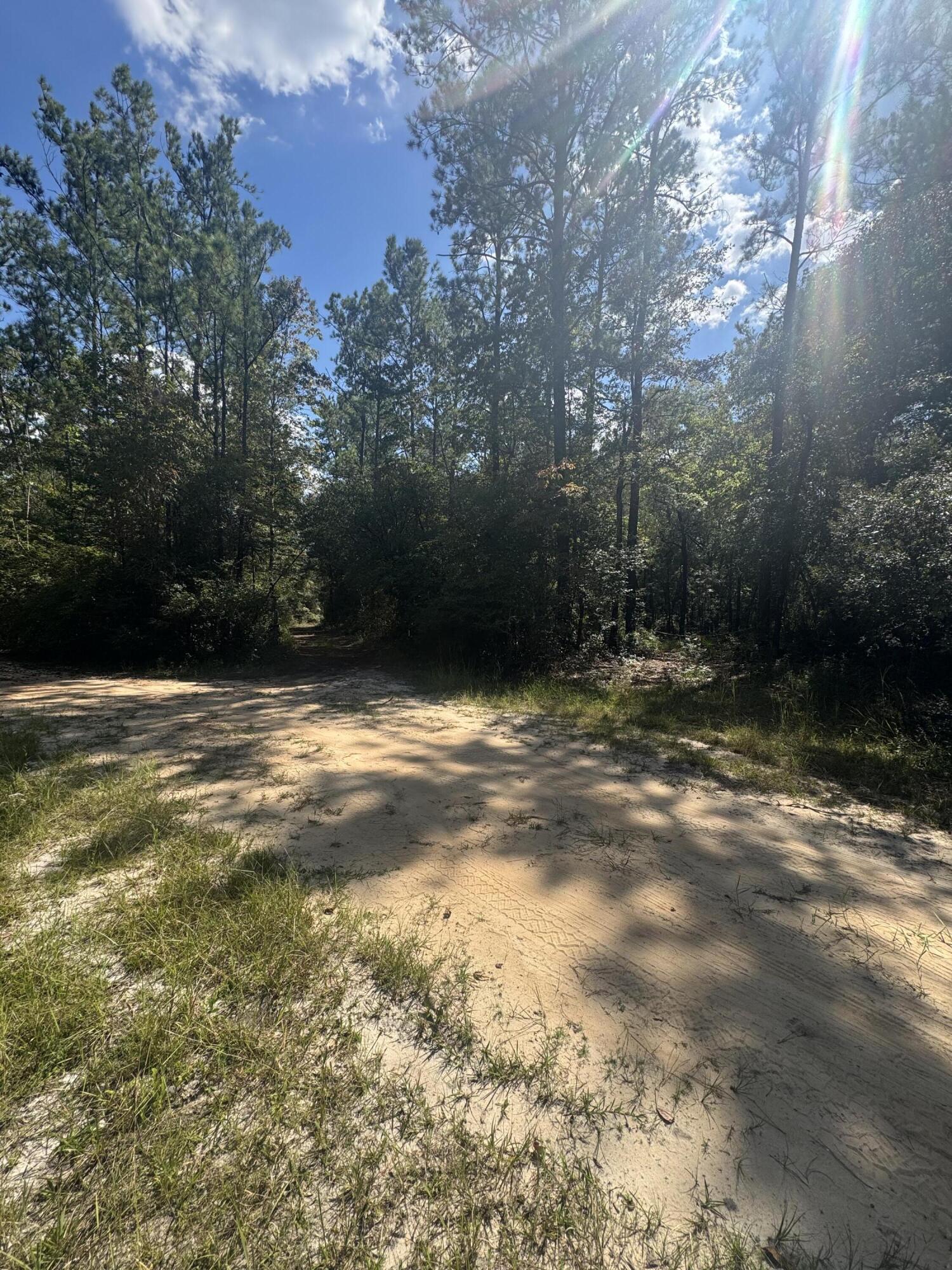 X Eagles Way DeFuniak Springs, FL 32433 - Photo 10 of 24 a view of outdoor space with trees