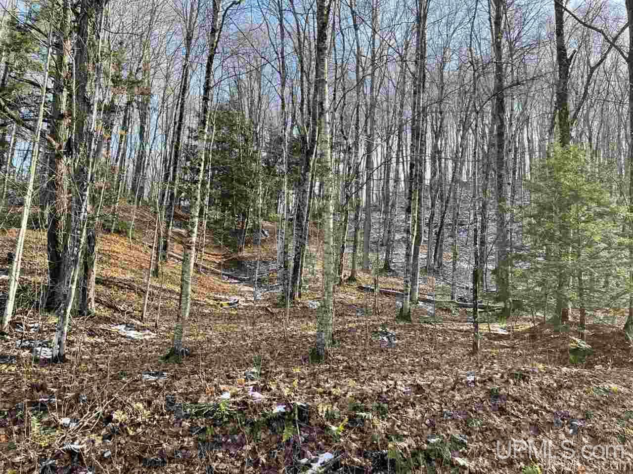 Tbd Indian Road Lanse, MI 49946 - Photo 11 of 19 Gallery Image 11