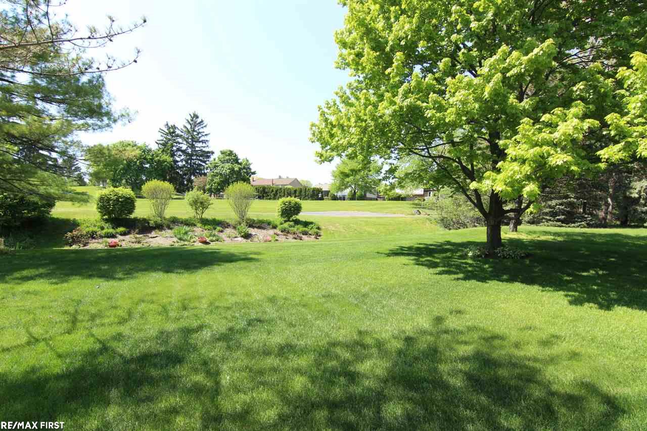 710 Lion Street Rochester Hills, MI 48307 - Photo 6 of 41