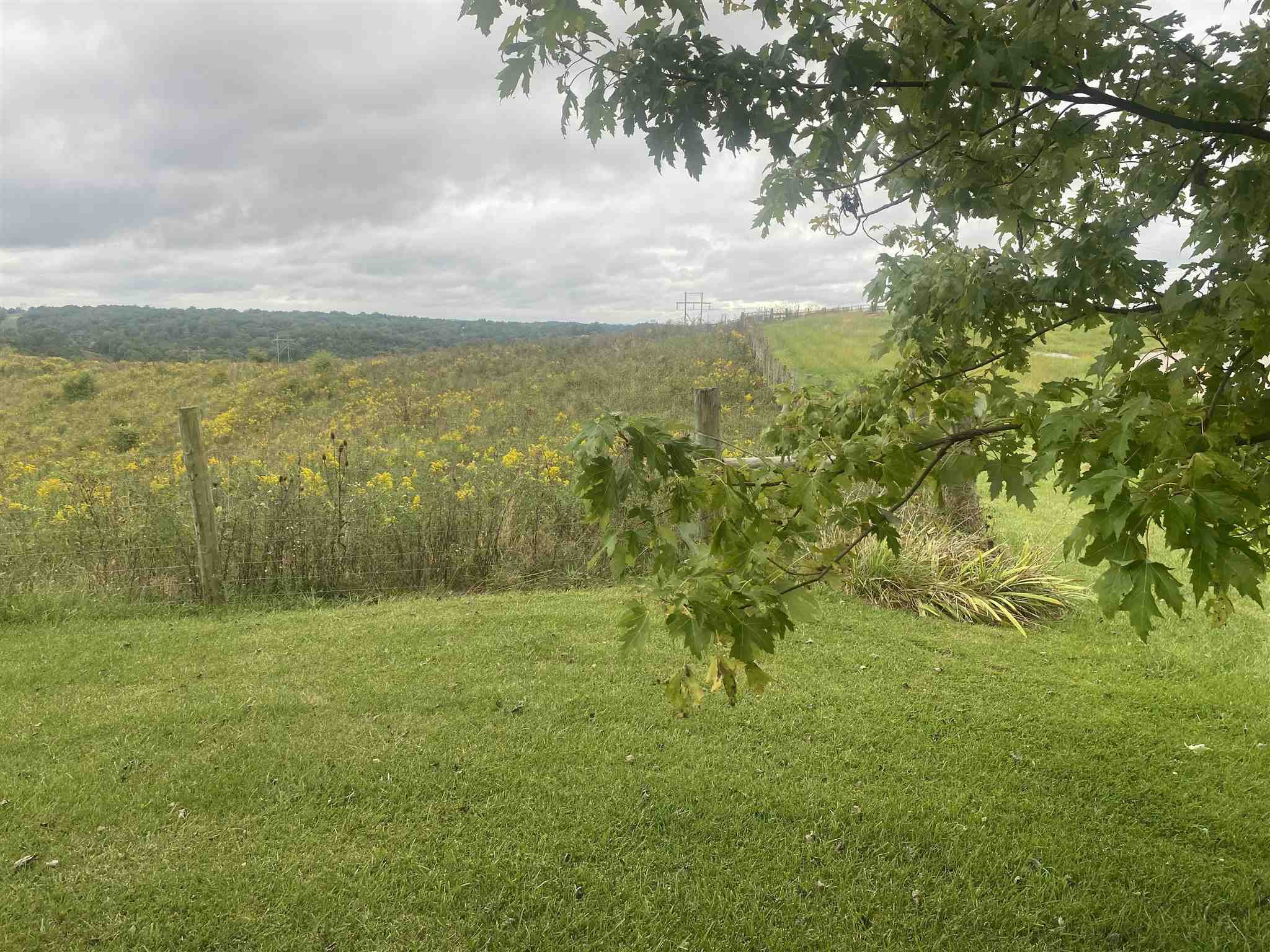 3983 Oakland Road Brooksville, KY 41004 - Photo 7 of 31 Gallery Image 7
