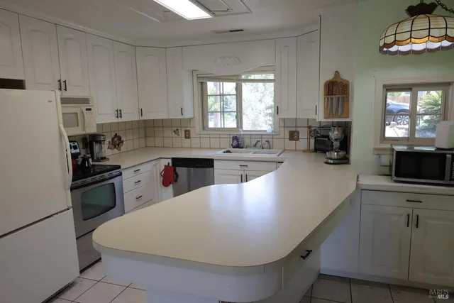 a bathroom with a bathtub and a potted plant