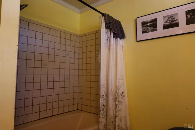 a view of a backyard with plants