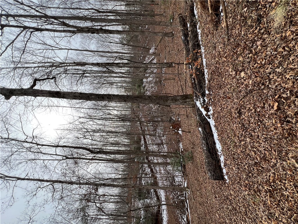 8 Gabriel Way Pickens, SC 29671 - Photo 10 of 12 This serene wooded landscape offers a private setting for your future home.