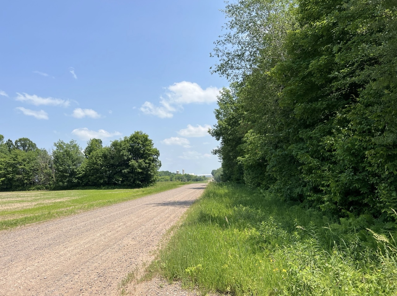 Xx Buckhorn Road Chetek, WI 54728 - Photo 3 of 14 Gallery Image 3
