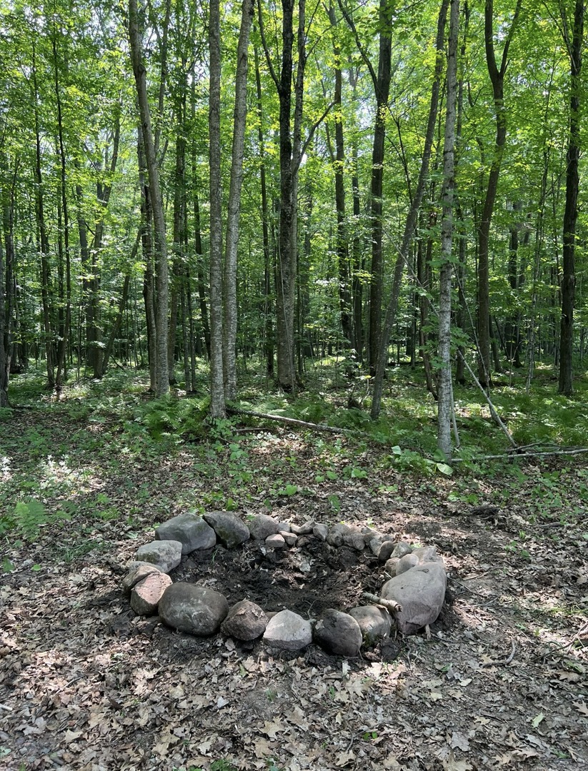 Xx Buckhorn Road Chetek, WI 54728 - Photo 9 of 14 Gallery Image 9