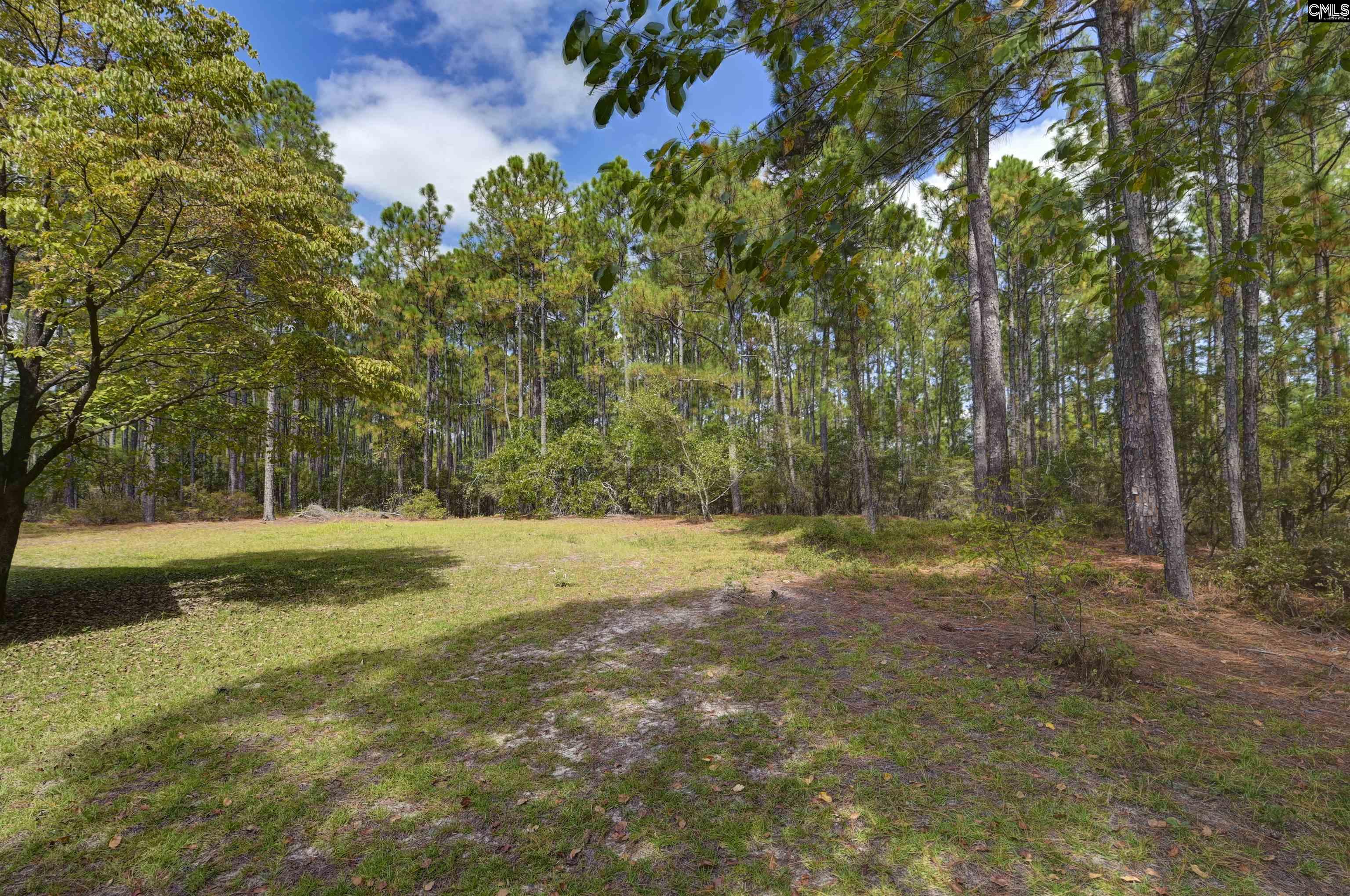 257 Rimrock Road Gilbert, SC 29054 - Photo 42 of 46