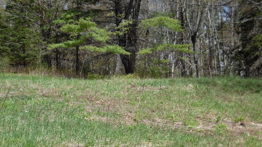 0 Twombly Road Monroe, ME 04951 - Photo 14 of 15 Photo