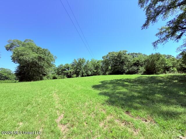 Church Road McComb, MS 39648 - Photo 11 of 40 IMG_4108 - Copy