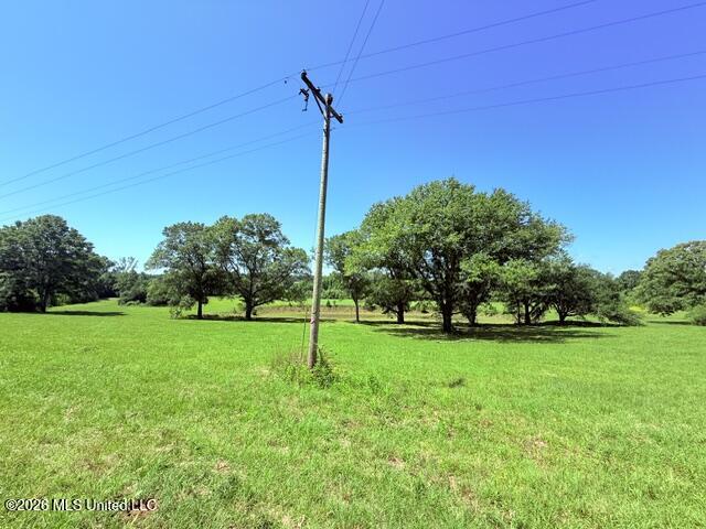 Church Road McComb, MS 39648 - Photo 12 of 40 IMG_4109 - Copy