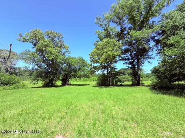 Church Road McComb, MS 39648 - Photo 13 of 40 IMG_4110 - Copy