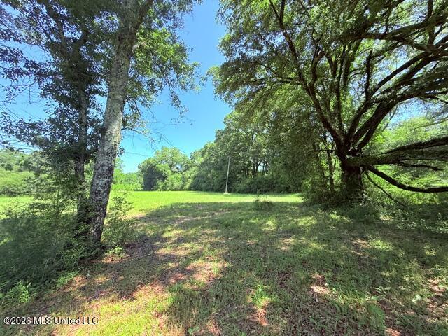 Church Road McComb, MS 39648 - Photo 15 of 40 IMG_4112 - Copy