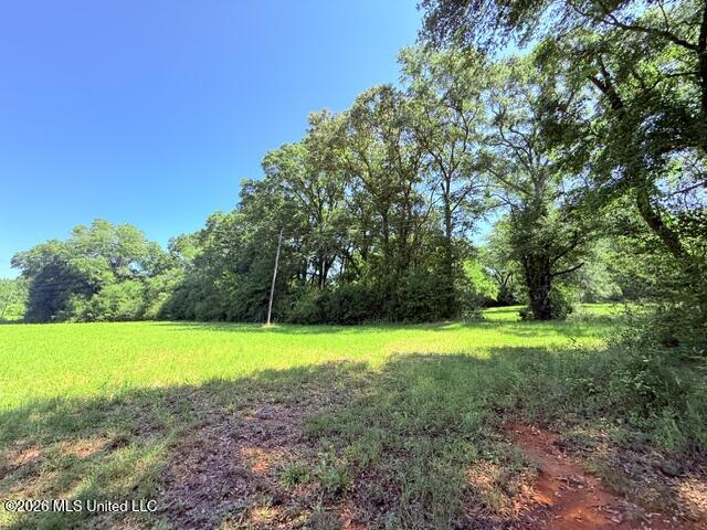 Church Road McComb, MS 39648 - Photo 16 of 40 IMG_4113 - Copy
