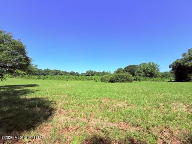 Church Road McComb, MS 39648 - Photo 17 of 40 IMG_4114 - Copy
