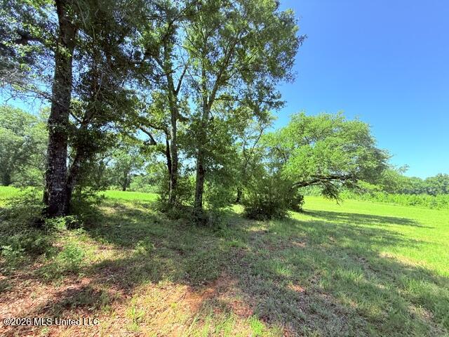 Church Road McComb, MS 39648 - Photo 18 of 40 IMG_4115 - Copy