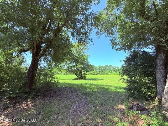 Church Road McComb, MS 39648 - Photo 19 of 40 IMG_4116 - Copy