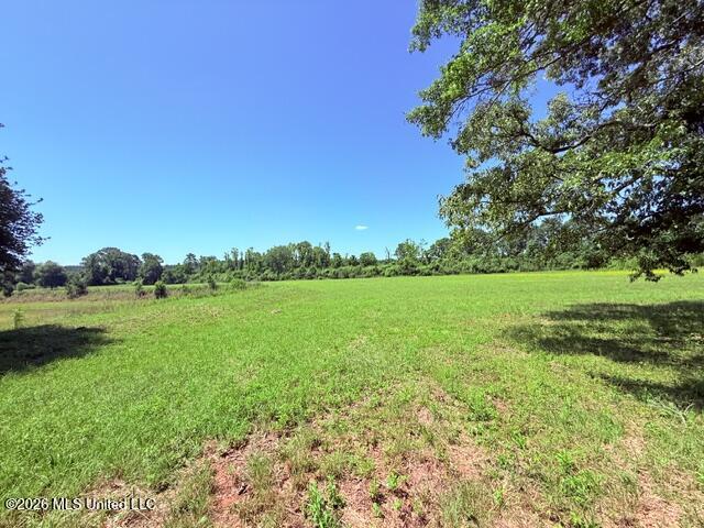 Church Road McComb, MS 39648 - Photo 20 of 40 IMG_4117 - Copy