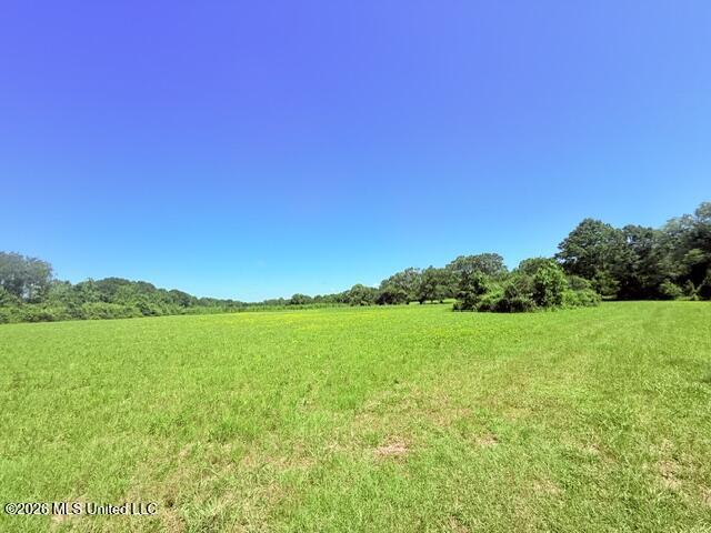 Church Road McComb, MS 39648 - Photo 2 of 40 IMG_4099 - Copy