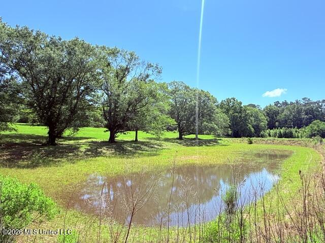 Church Road McComb, MS 39648 - Photo 22 of 40 IMG_4119 - Copy