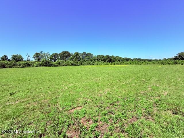 Church Road McComb, MS 39648 - Photo 23 of 40 IMG_4120 - Copy