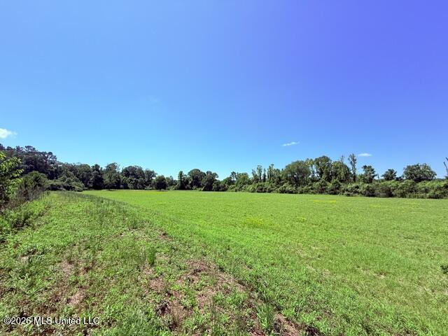 Church Road McComb, MS 39648 - Photo 24 of 40 IMG_4121 - Copy
