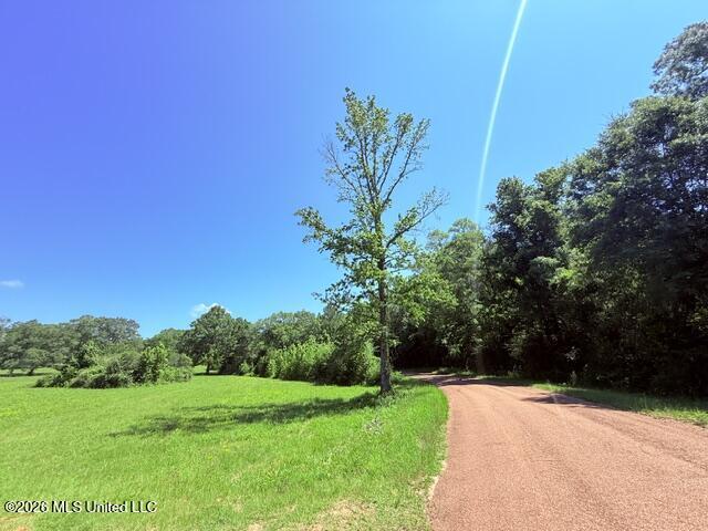 Church Road McComb, MS 39648 - Photo 26 of 40 IMG_4123 - Copy