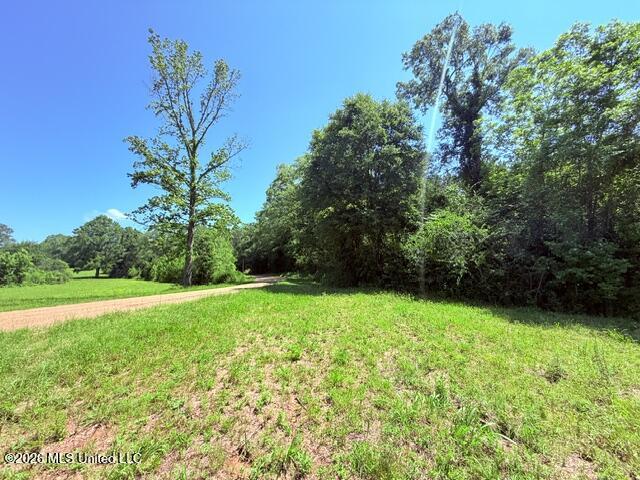 Church Road McComb, MS 39648 - Photo 28 of 40 IMG_4126 - Copy
