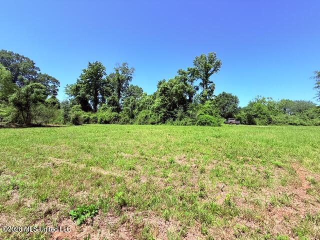 Church Road McComb, MS 39648 - Photo 29 of 40 IMG_4127 - Copy