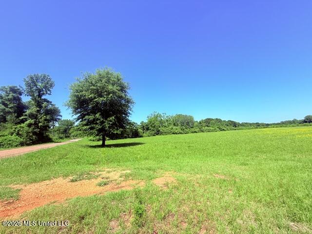 Church Road McComb, MS 39648 - Photo 3 of 40 IMG_4100 - Copy