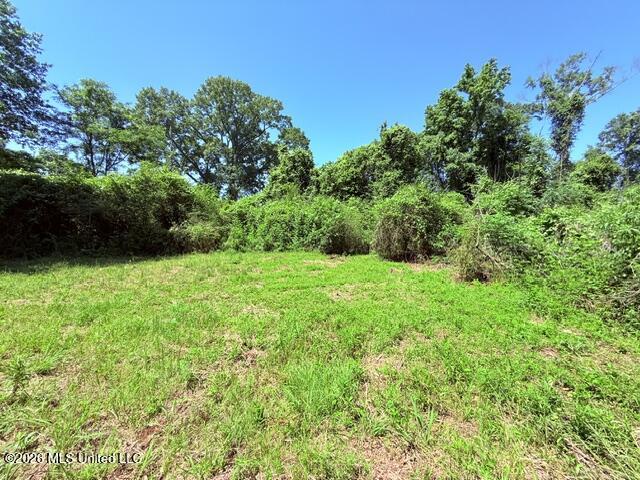 Church Road McComb, MS 39648 - Photo 31 of 40 IMG_4129 - Copy