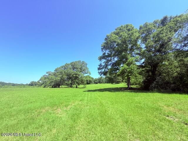 Church Road McComb, MS 39648 - Photo 4 of 40 IMG_4101 - Copy