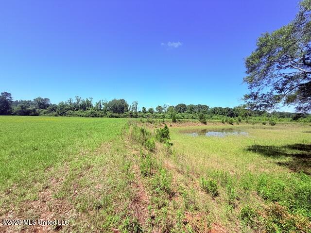 Church Road McComb, MS 39648 - Photo 5 of 40 IMG_4102 - Copy