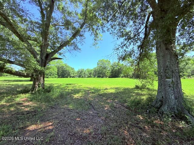 Church Road McComb, MS 39648 - Photo 7 of 40 IMG_4104 - Copy