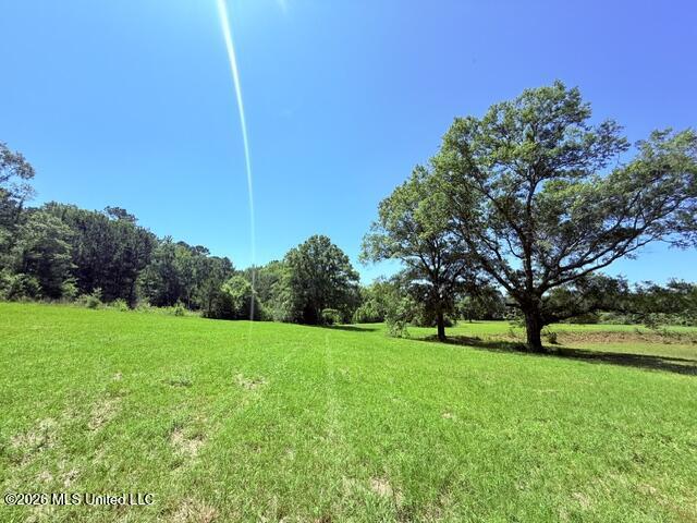 Church Road McComb, MS 39648 - Photo 10 of 40 IMG_4107 - Copy